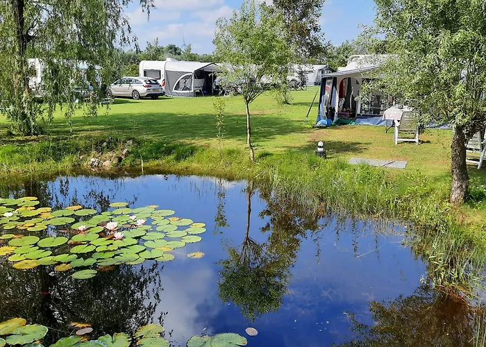 منتزه العطل Ruime Caravan Op Gezellige Minicamping