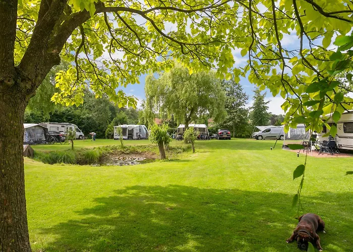 Parque de vacaciones Ruime Caravan Op Gezellige Minicamping Lichtenvoorde